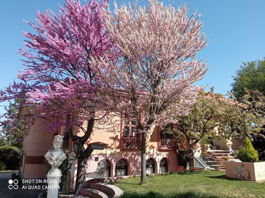 La Mata  Finca Denunezヴィラ エクステリア 写真