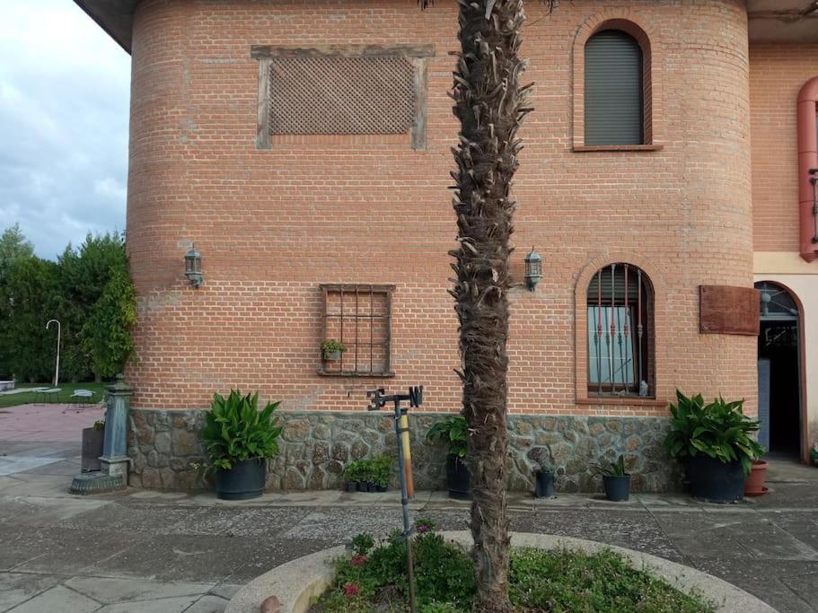 La Mata  Finca Denunezヴィラ エクステリア 写真