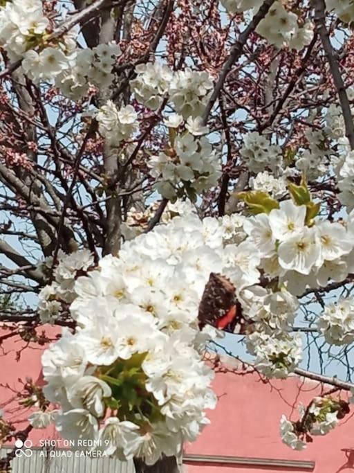 La Mata  Finca Denunezヴィラ エクステリア 写真