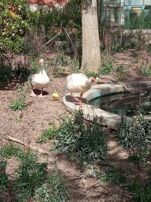 La Mata  Finca Denunezヴィラ エクステリア 写真