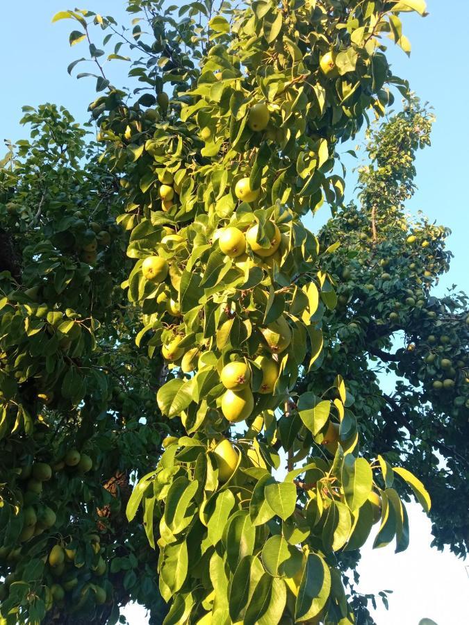La Mata  Finca Denunezヴィラ エクステリア 写真